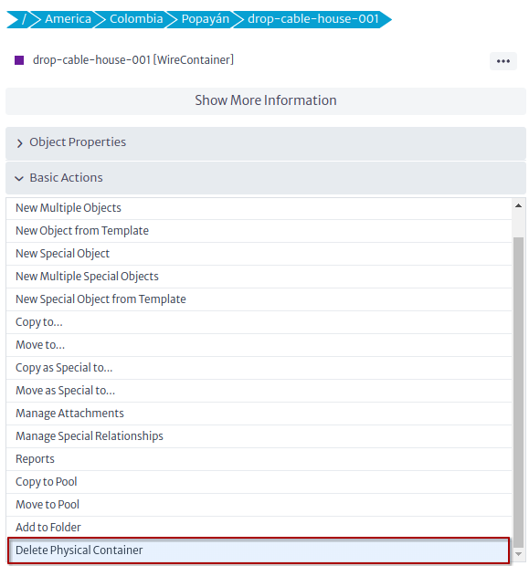 Basic action delete physical container